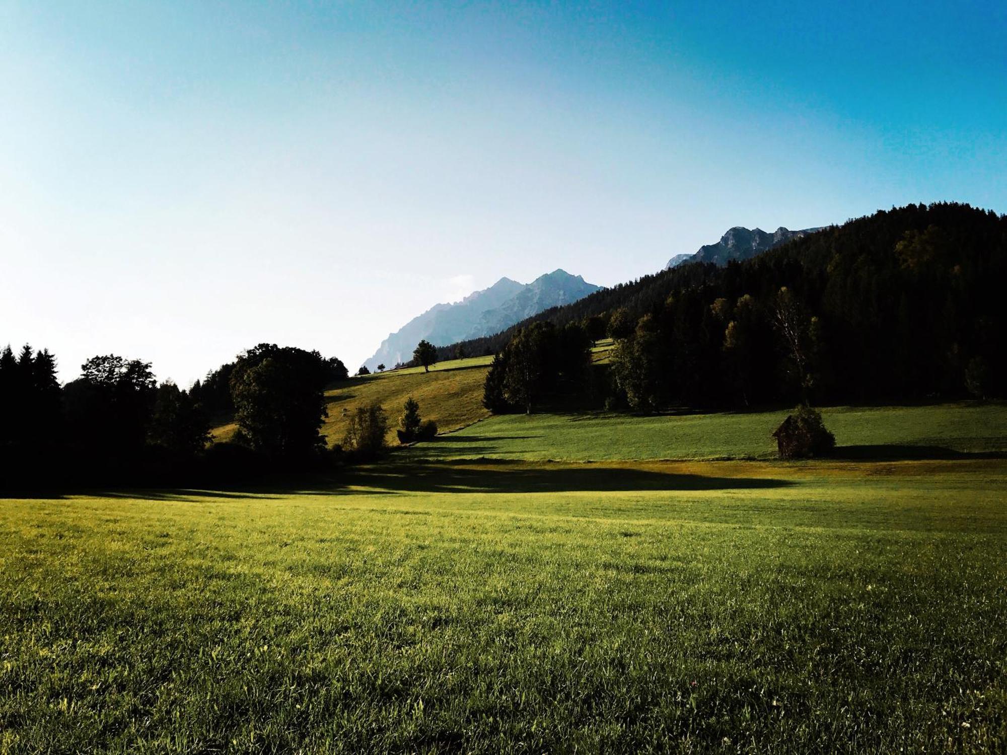 Holiday home Chillhaus Pear Mountain