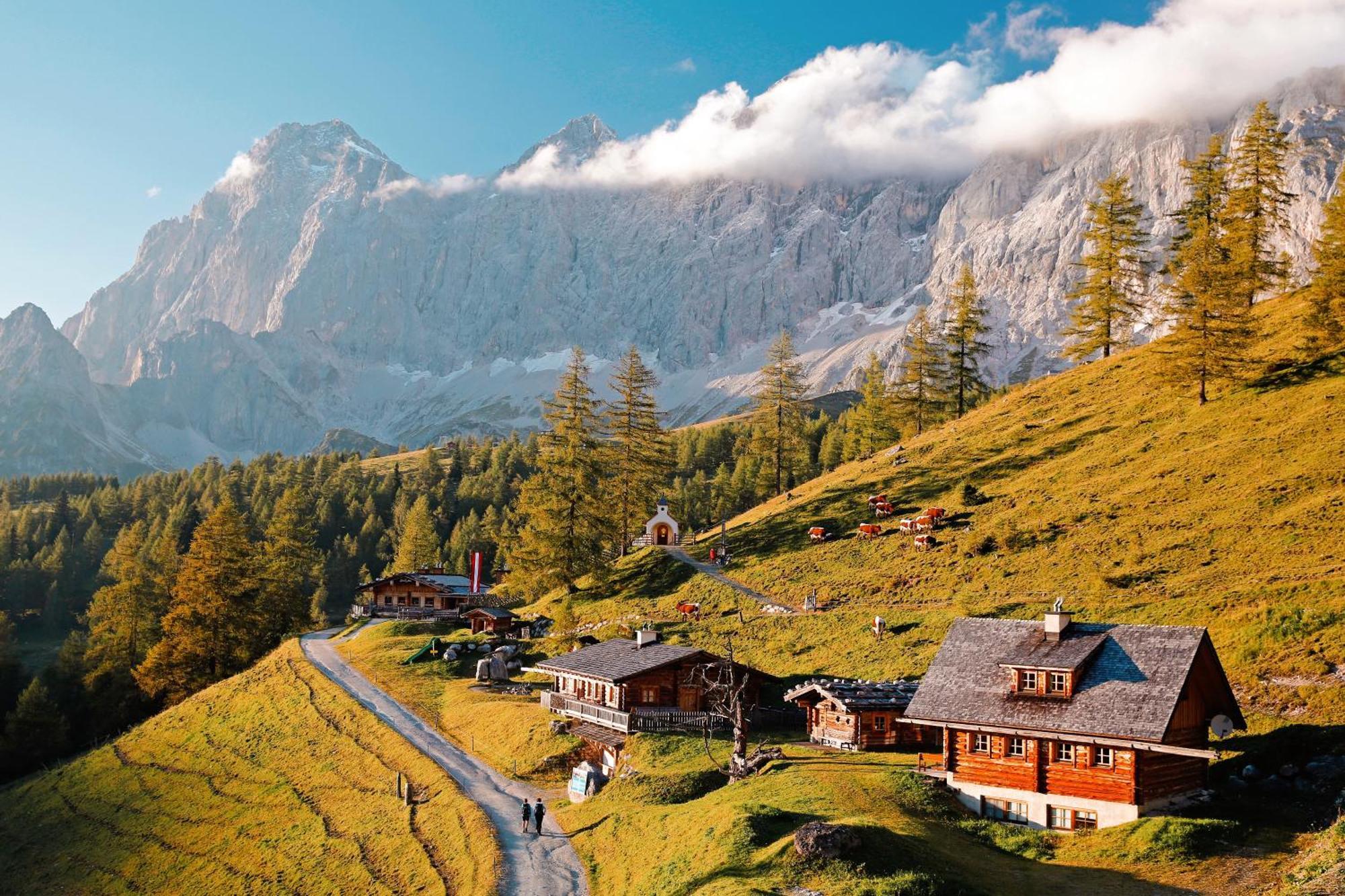 Casa vacanze Chillhaus Pear Mountain